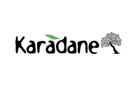 www.karadane.com.tr e ticaret sitesi